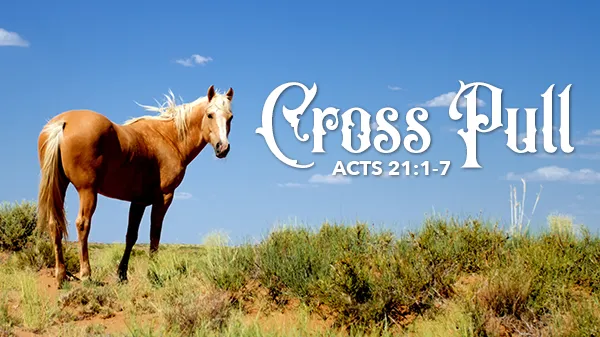 Cross Pull